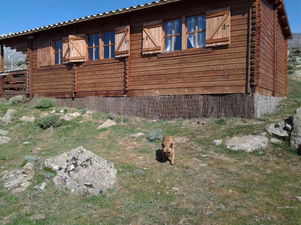 Les Chalets De Lozzi Calacuccia Exterior photo