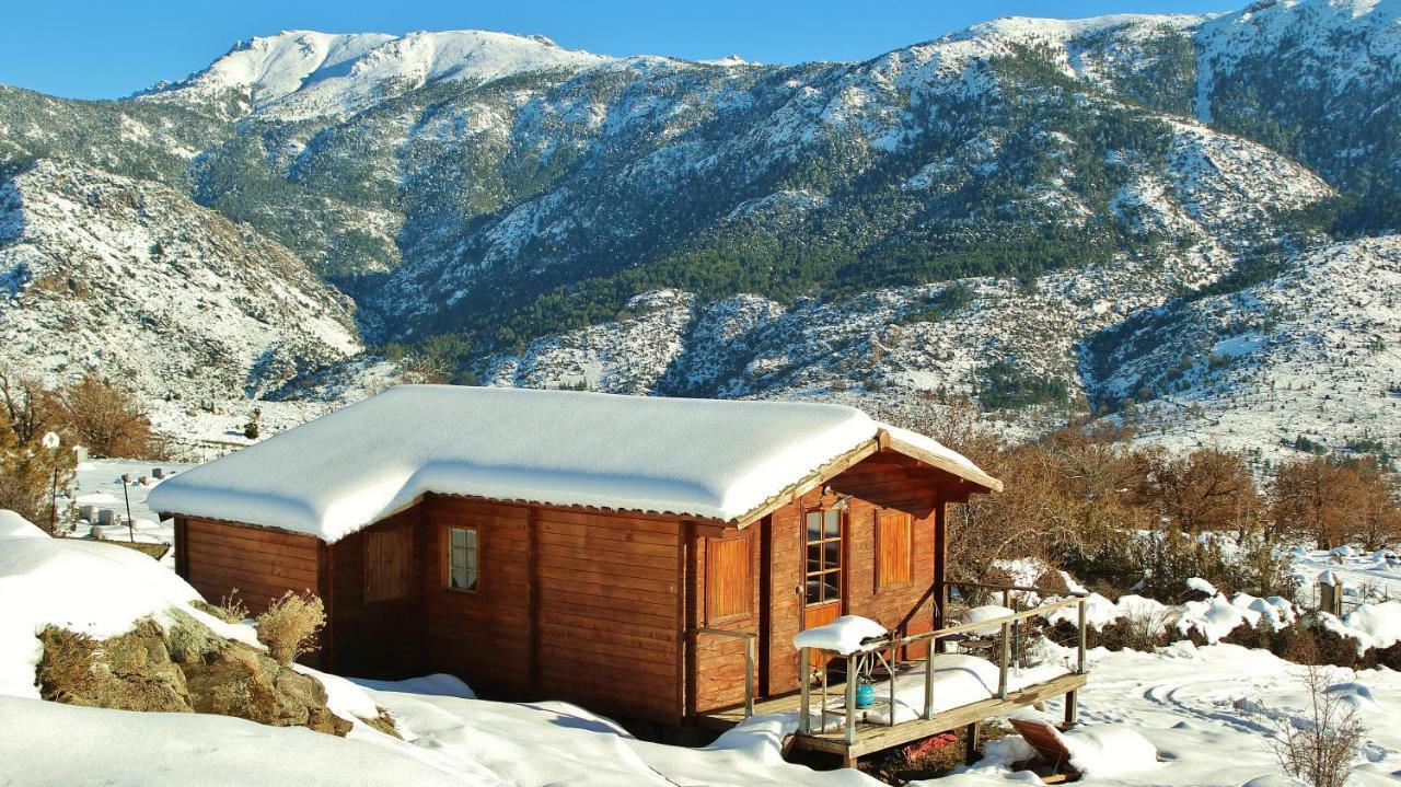 Les Chalets De Lozzi Calacuccia Exterior photo
