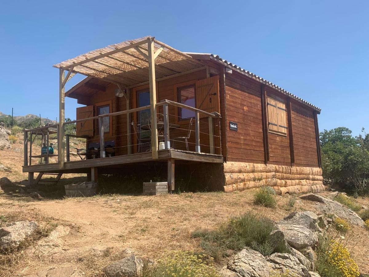 Les Chalets De Lozzi Calacuccia Exterior photo
